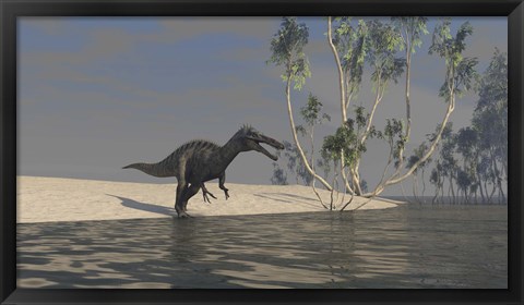 Framed Suchomimus Hunting for Food Print