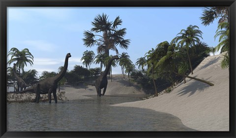 Framed Three Brachiosaurus Dinosaurs Grazing Print