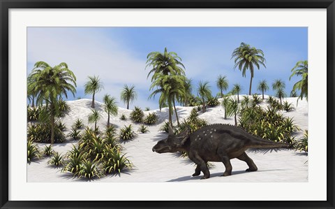 Framed Triceratops in a Tropical Setting Print