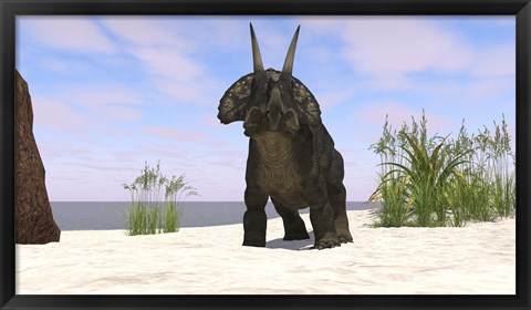 Framed Triceratops on a Beach Print