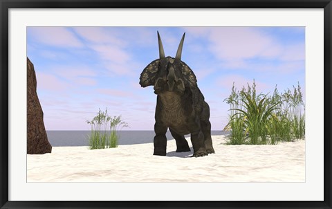 Framed Triceratops on a Beach Print