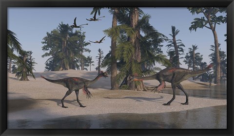 Framed Two Gigantoraptors Print