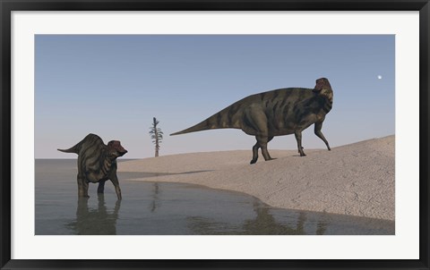 Framed Two Shuangmiaosaurus Dinosaurs Print