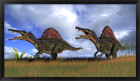 Framed Two Spinosaurus Hunting Print