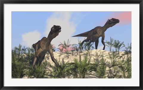 Framed Two Utahraptors Print