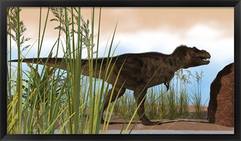 Framed Tyrannosaurus Rex Hunting for Meal Print