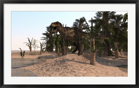 Framed Tyrannosaurus Rex Hunting in a Desert Environment Print