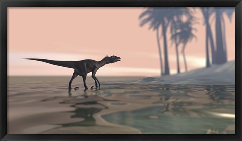 Framed Utahraptor in Shallow Water Print