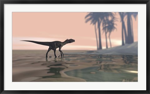 Framed Utahraptor in Shallow Water Print