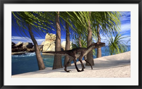 Framed Utahraptor Walking Along the Shore Print