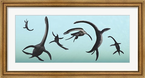 Framed Plesiosaurs Gather Underwater Print