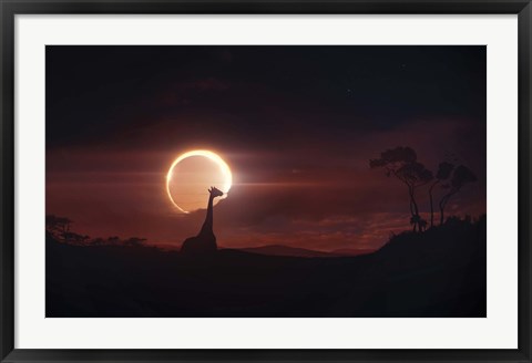 Framed Solar Eclipse over Africa Print