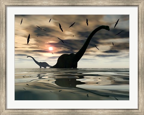 Framed Diplodocus Dinosaurs Print