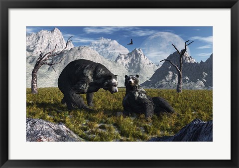 Framed Arctodus Bears Print