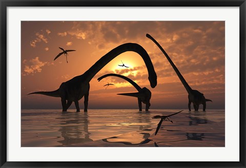 Framed Omeisaurus Sauropod Dinosaurs Print