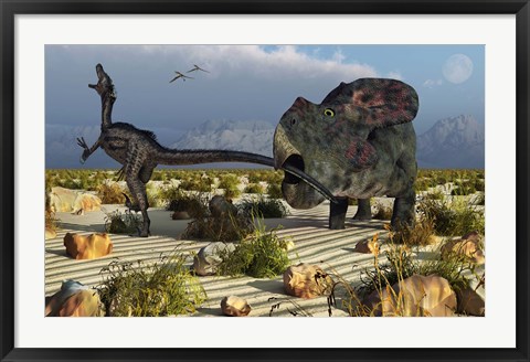 Framed Protoceratops Biting a Velociraptor Print