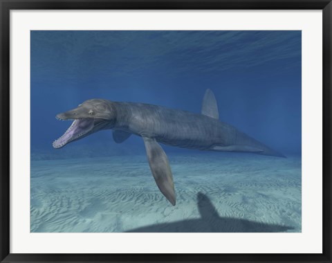 Framed Pliosaurus Kevani Print