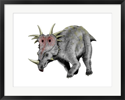 Framed Styracosaurus Dinosaur Print