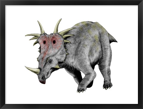 Framed Styracosaurus Dinosaur Print