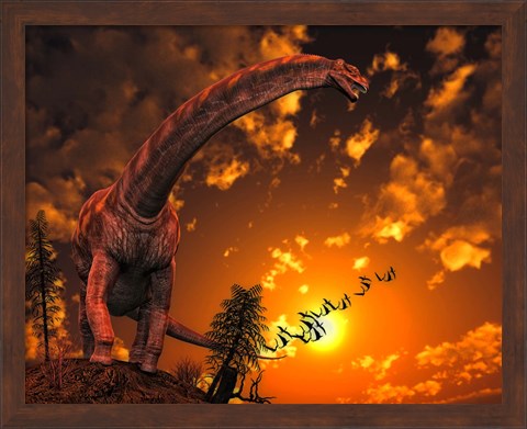 Framed Argentinosaurus Print