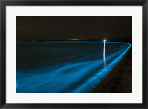 Framed Bioluminescence in Waves in the Gippsland Lakes Print