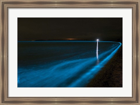 Framed Bioluminescence in Waves in the Gippsland Lakes Print