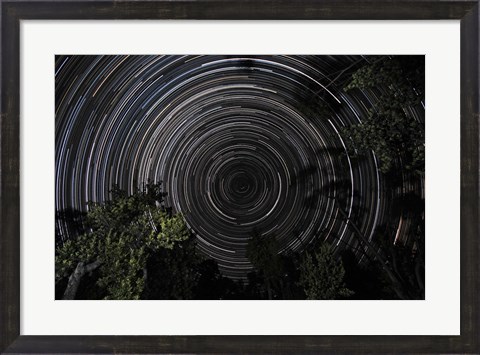 Framed Southern Sky Star Trails Print