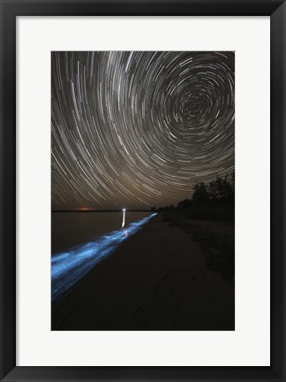 Framed Star Trails over Bioluminescence Print