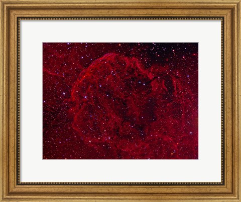 Framed Jellyfish Nebula Print