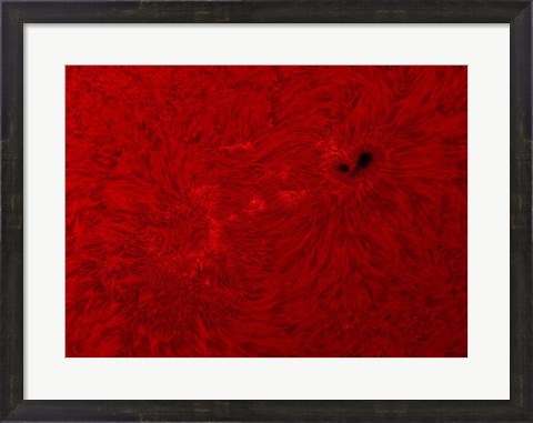 Framed H-alpha Sun in Red Print