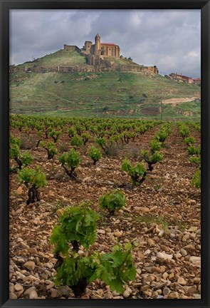 Framed Vineyard in stony soil with San Vicente de la Sonsierra Village, La Rioja, Spain Print