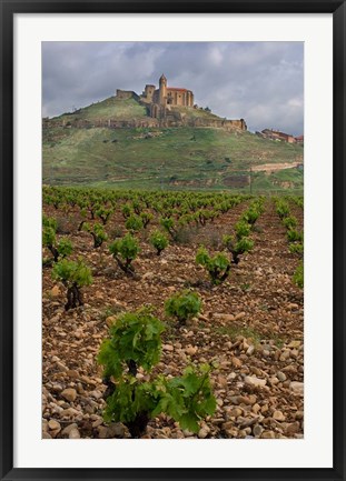 Framed Vineyard in stony soil with San Vicente de la Sonsierra Village, La Rioja, Spain Print