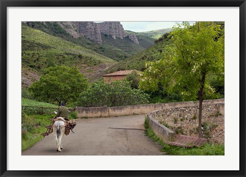 Framed Old man rides a donkey loaded with wood, Anguiano, La Rioja, Spain Print