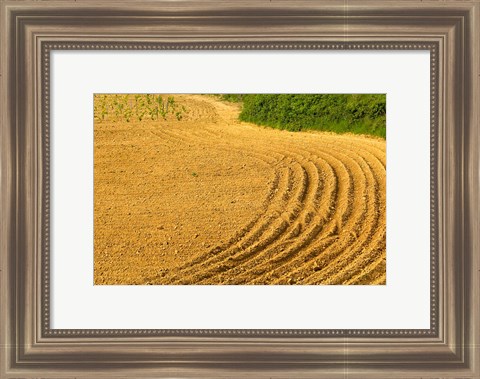 Framed Tilled Ground Ready for Planting, Brinas, La Rioja, Spain Print