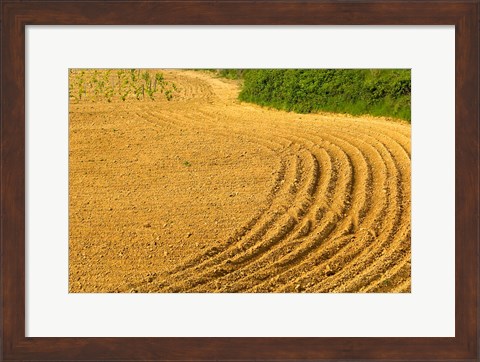 Framed Tilled Ground Ready for Planting, Brinas, La Rioja, Spain Print