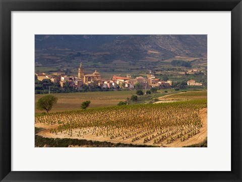 Framed Village of Brinas surrounded by Vineyards, La Rioja Region, Spain Print