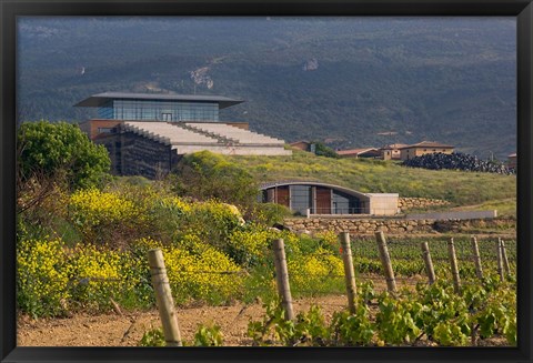 Framed Bodegas Baigorri in Rioja Alavesa, Spain Print