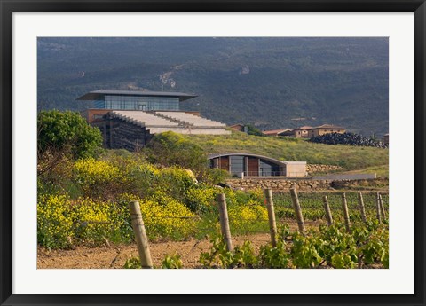 Framed Bodegas Baigorri in Rioja Alavesa, Spain Print