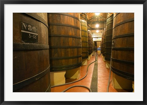 Framed Large Oak tanks holding wine, Bodega Muga Winery, Haro village, La Rioja, Spain Print