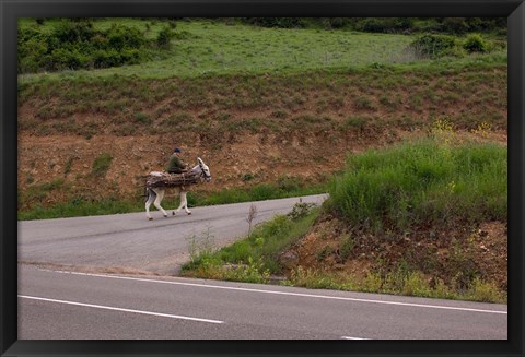 Framed Old man rides a donkey loaded with wood, Anguiano, La Rioja, Spain Print