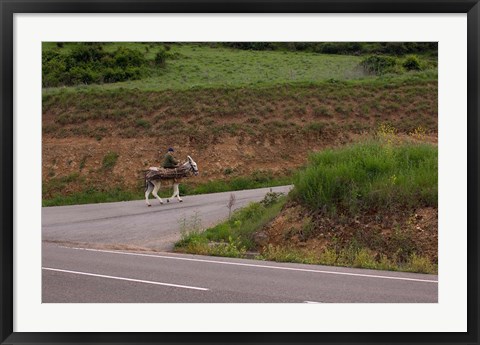 Framed Old man rides a donkey loaded with wood, Anguiano, La Rioja, Spain Print