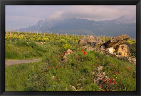 Framed Wildflowers surround the Sacred Burial Site, Elvillar Village, La Rioja, Spain Print