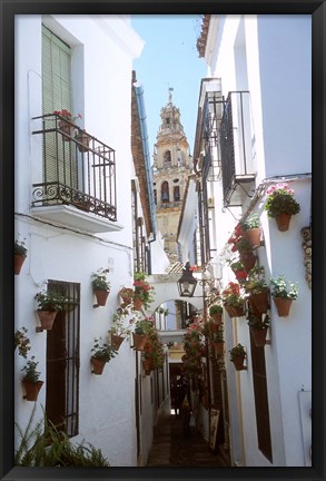 Framed Calleja de las Flores (Flower Alley), Spain Print