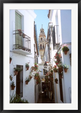 Framed Calleja de las Flores (Flower Alley), Spain Print