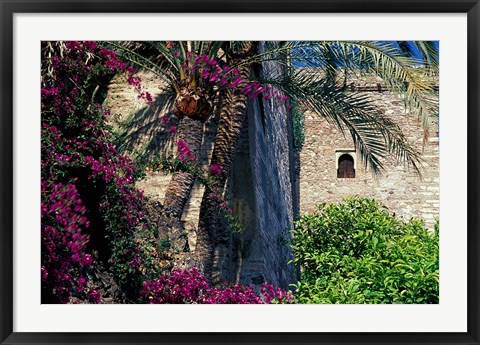 Framed Plams, Flowers and Ramparts of Alcazaba, Malaga, Spain Print