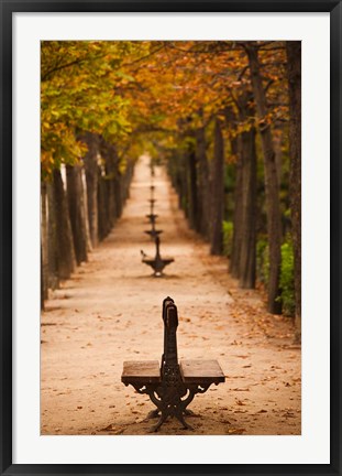 Framed Parque del Buen Retiro, Madrid, Spain Print