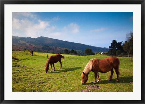 Framed Horses By Jaizkibel Road, Hondarribia, Spain Print