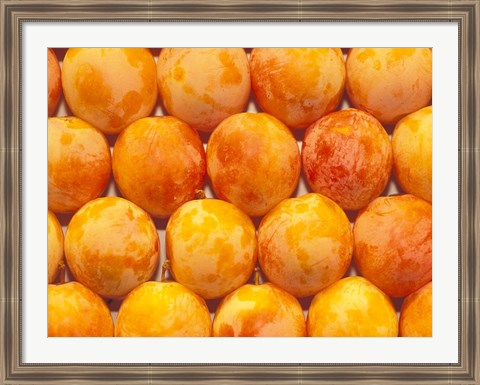 Framed Produce at La Boqueria Market, Barcelona, Spain Print