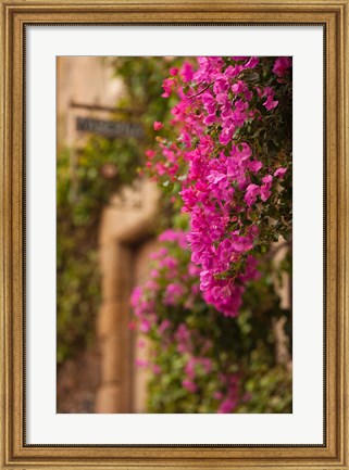 Framed Flower-covered Buildings, Old Town, Ciudad Monumental, Caceres, Spain Print