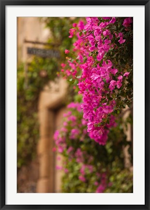 Framed Flower-covered Buildings, Old Town, Ciudad Monumental, Caceres, Spain Print